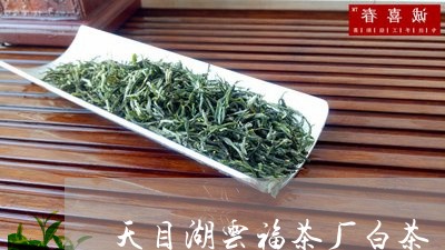 天目湖云福茶厂白茶/2023081474725