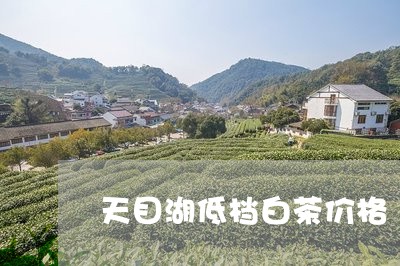 天目湖低档白茶价格/2023071684937