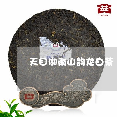 天目湖南山韵龙白茶/2023081492817