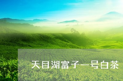 天目湖富子一号白茶/2023071692827