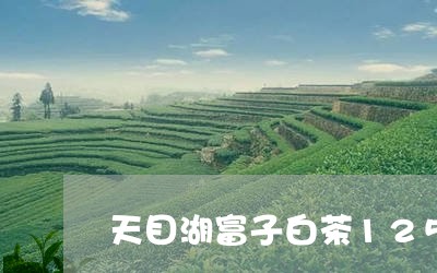 天目湖富子白茶125克价格表图/2023111513257