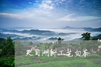 天目湖新工艺白茶/2023061750614