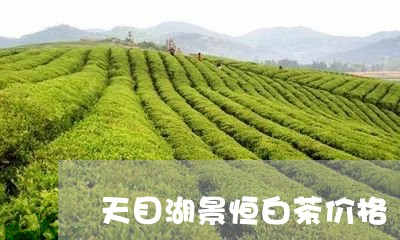 天目湖景恒白茶价格/2023071640572