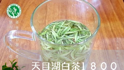 天目湖白茶1800/2023121570692