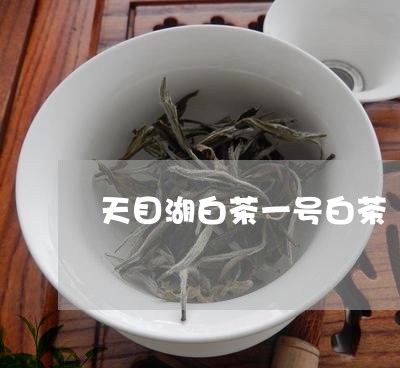 天目湖白茶一号白茶/2023071672037