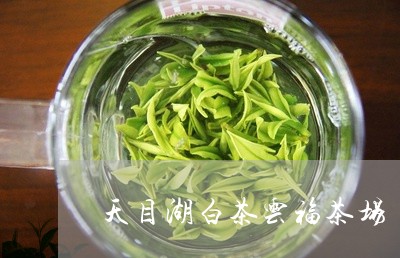 天目湖白茶云福茶场/2023071649483