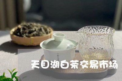 天目湖白茶交易市场/2023081493036