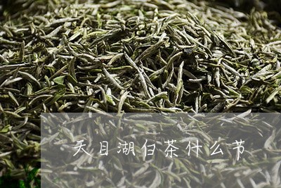 天目湖白茶什么节/2023121860815