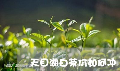 天目湖白茶价如何冲/2023121833038