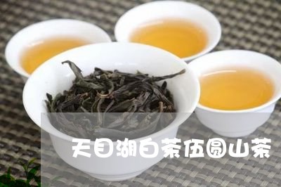 天目湖白茶伍圆山茶/2023121892715