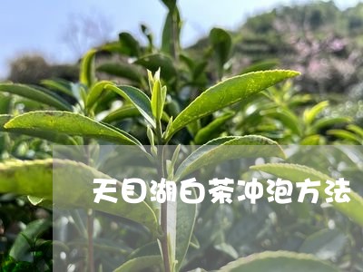 天目湖白茶冲泡方法/2023081458493