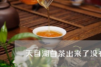 天目湖白茶出来了没有/2023092848592