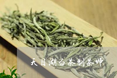 天目湖白茶制茶师/2023061738381