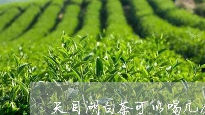 天目湖白茶可以喝几次/2023092817580