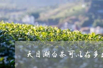 天目湖白茶可以存多久/2023092802704