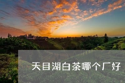 天目湖白茶哪个厂好/2023081437382