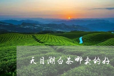 天目湖白茶哪卖的好/2023071603815