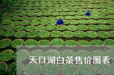 天目湖白茶售价图表/2023121866970