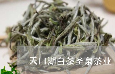 天目湖白茶圣泉茶业/2023081422637