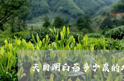 天目湖白茶多少度的水/2023092884160