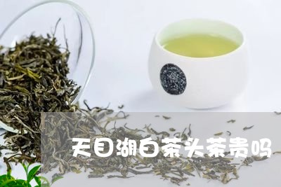 天目湖白茶头茶贵吗/2023081470846