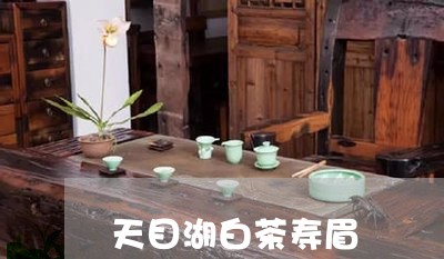 天目湖白茶寿眉/2023112499593