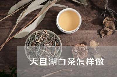 天目湖白茶怎样做/2023061758471