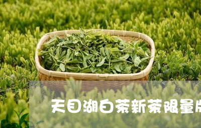 天目湖白茶新茶限量版/2023092871794