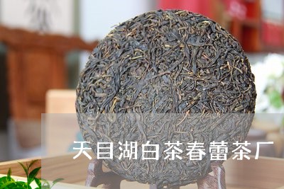 天目湖白茶春蕾茶厂/2023121850584