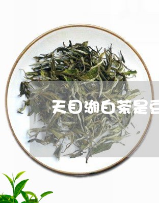 天目湖白茶是豆香吗/2023121878451