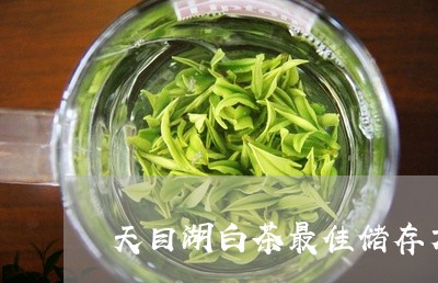 天目湖白茶最佳储存方法/2023101678171