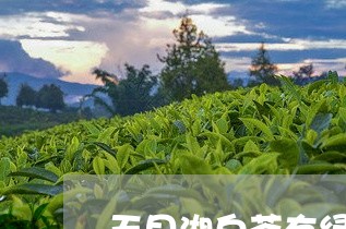 天目湖白茶有绿茶吗/2023071614918