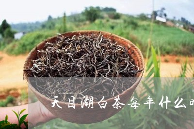 天目湖白茶每年什么时候/2023101626480