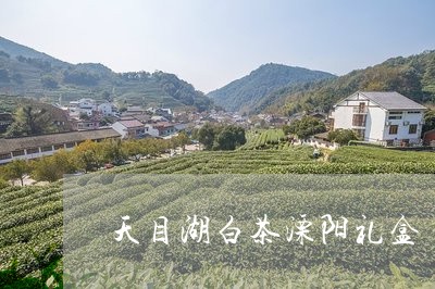 天目湖白茶溧阳礼盒/2023121824025