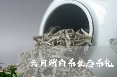 天目湖白茶生态茶礼/2023121851393