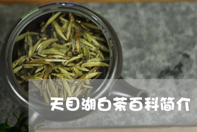 天目湖白茶百科简介/2023121861793