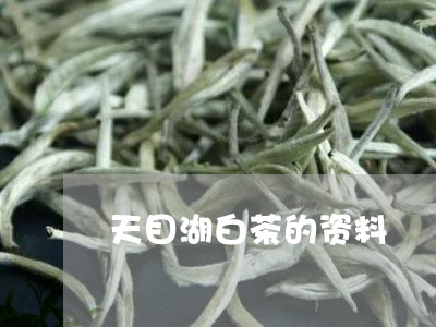 天目湖白茶的资料/2023061700515