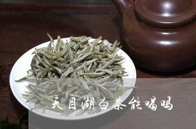 天目湖白茶能喝吗/2023061768583