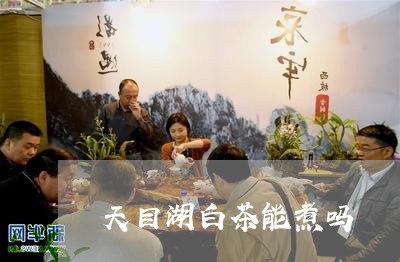 天目湖白茶能煮吗/2023061736179