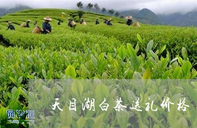 天目湖白茶送礼价格/2023071748525