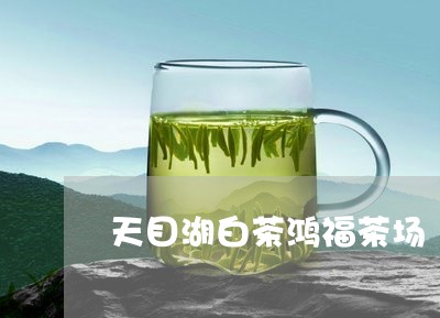 天目湖白茶鸿福茶场/2023081482925