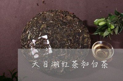 天目湖红茶和白茶/2023061732806