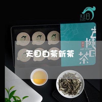 天目白茶新茶/2023082694837