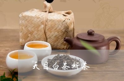 天目白茶新茶/2023111787371