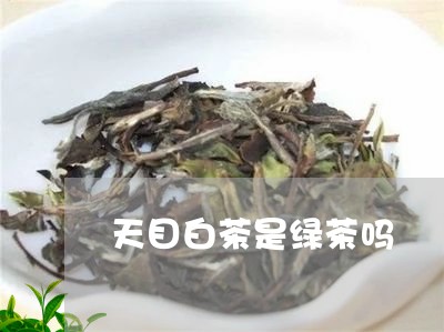 天目白茶是绿茶吗/2023061782937