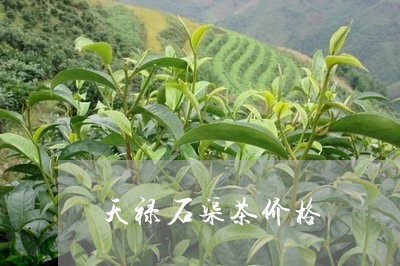 天禄石渠茶价格/2023050186400