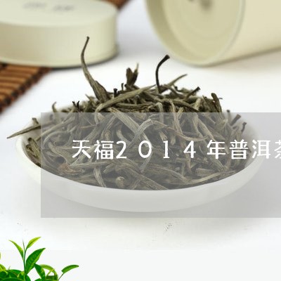 天福2014年普洱茶/2023062483928