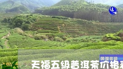 天福五级普洱茶价格表/2023092673826