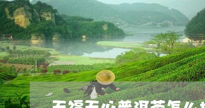 天福天心普洱茶怎么样/2023093079615