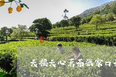 天福天心茗茶张家口茶叶市场在哪里/2023060478274